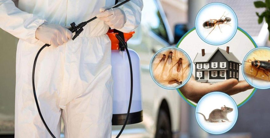 Konak Böcek İlaçlama