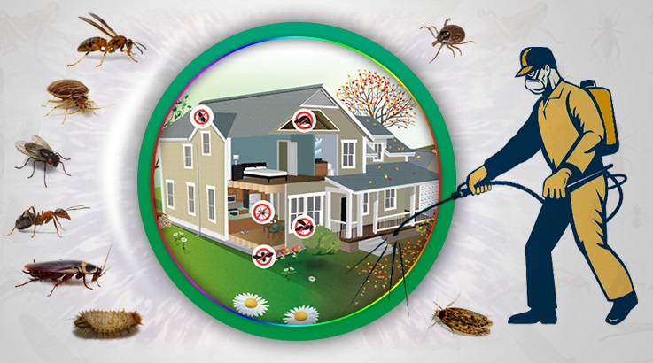 Konak Böcek İlaçlama