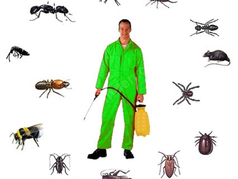 Konak Böcek İlaçlama